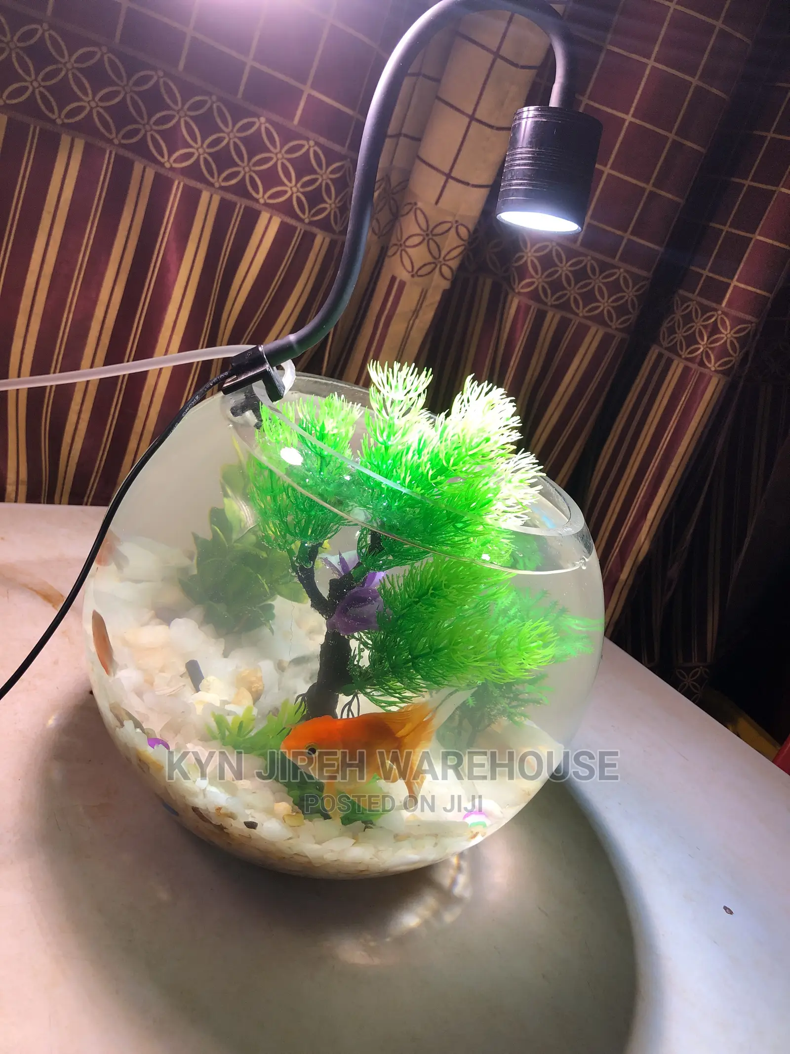 Fish Bowl Aquarium With 3 Fishes