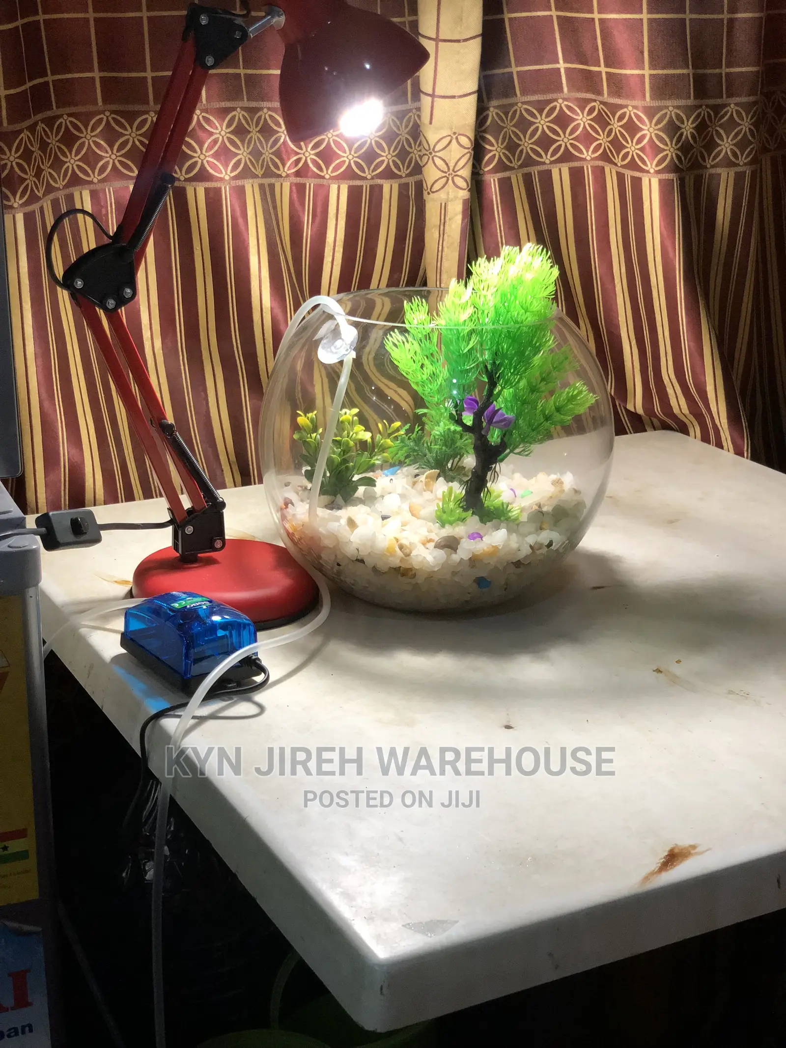 Fish Bowl Aquarium With 3 Fishes