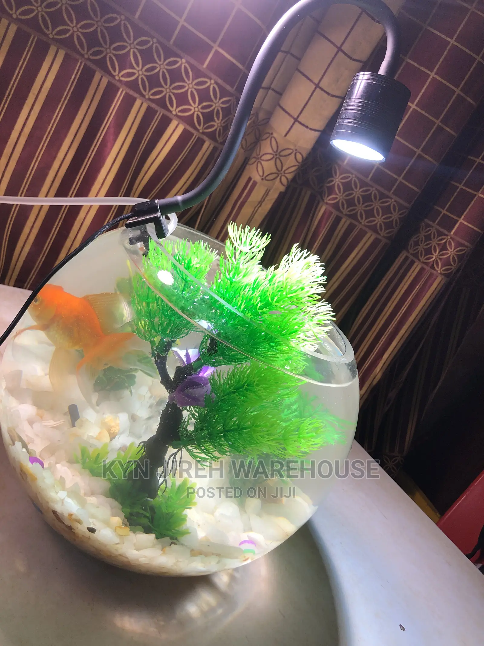 Fish Bowl Aquarium With 3 Fishes