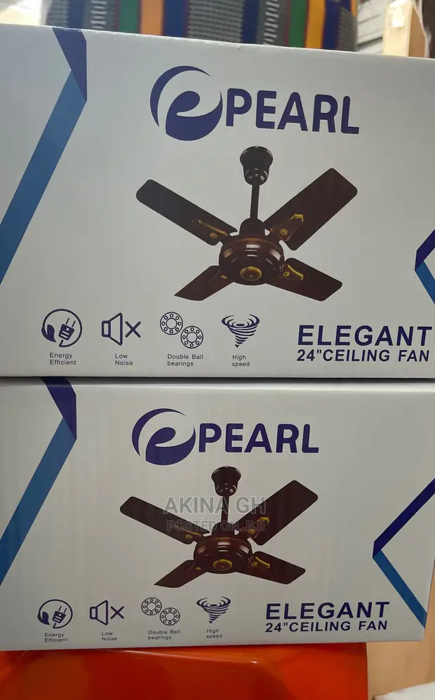 Ceiling Fan 2