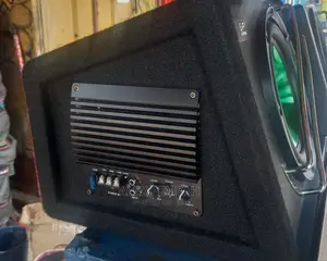 Car Sub Woofers