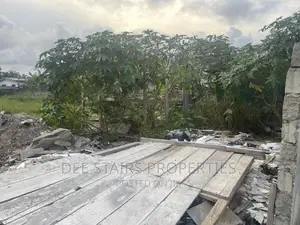 2 Plot of Titled Land for Sale at Osu Aku Aje