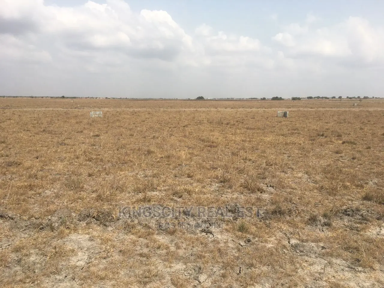 Serviced Estate Lands