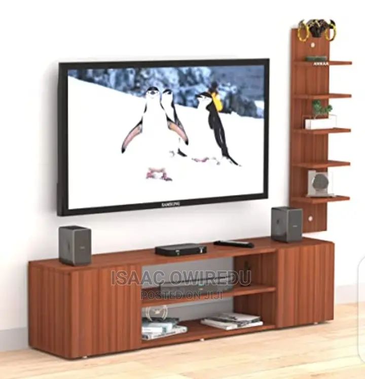 Television Unit