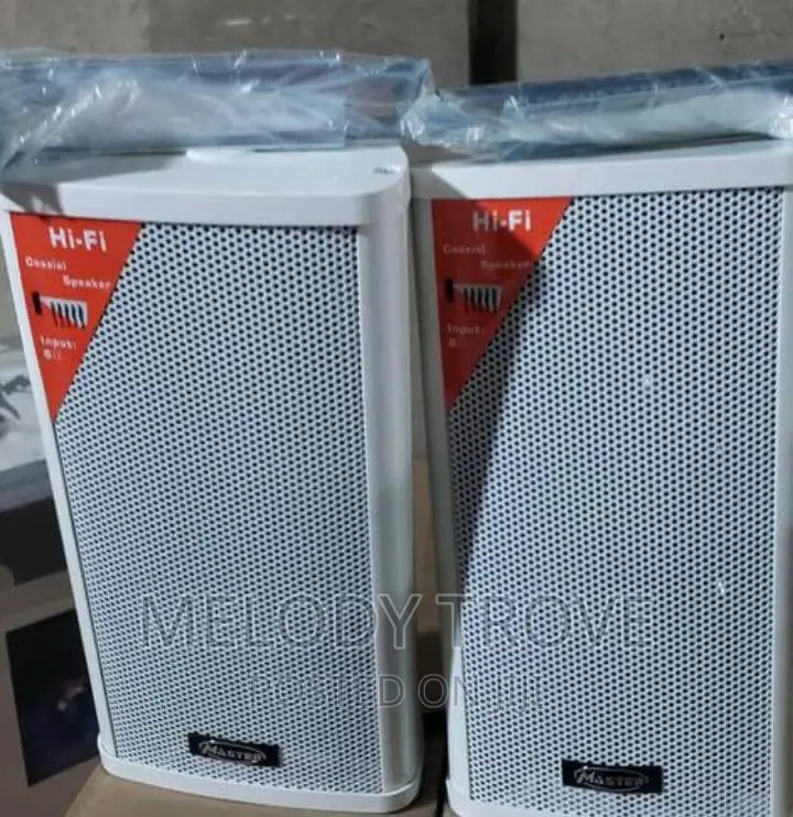 Column/Wall Speaker With Built in Amp