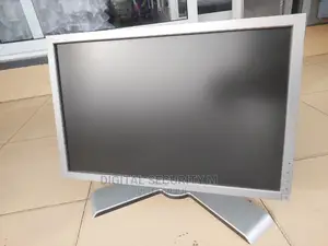 Dell Professional Monitor