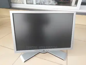 Dell Professional Monitor