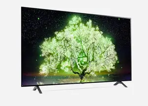 Dynamic OLED Color Scheme UHD LG 55”A1 Series Tv