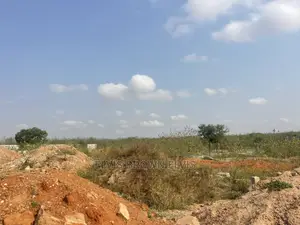 Do You Need a Land to Buy at NMIADJORN or Zoomlion