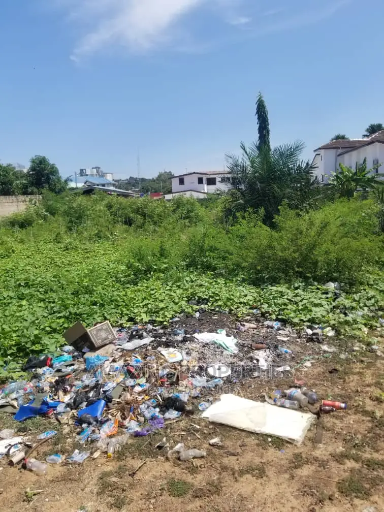 1 Acre of Land at DZORWULU