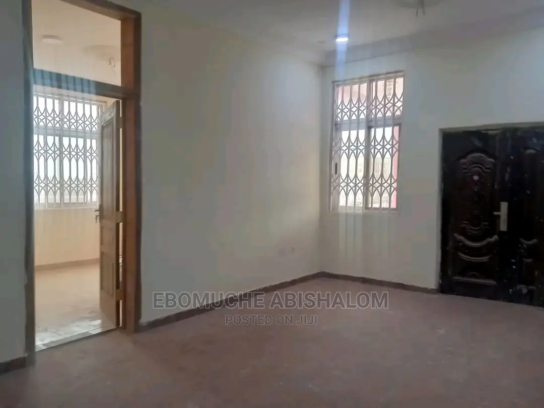 Professional Painter,Skimming and Grafiato
