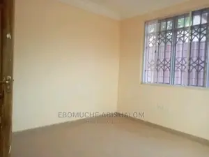Professional Painter,Skimming and Grafiato