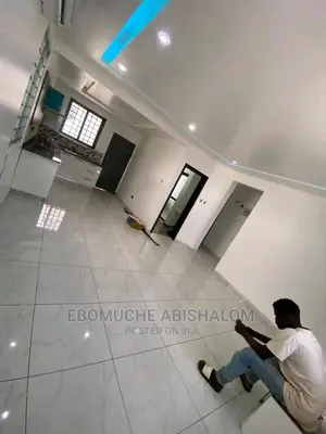 Professional Painter,Skimming and Grafiato