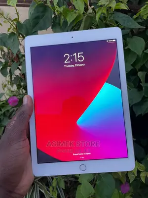 Apple iPad Air 2 64 GB Gray