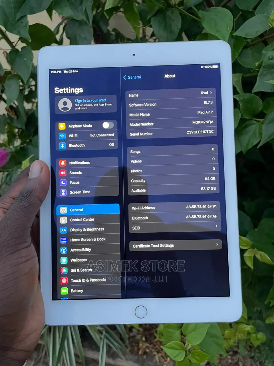 Apple iPad Air 2 64 GB Gray