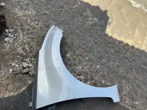 Hyundai Elantra 2013 Fender