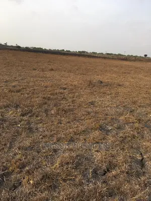 Secure Litigation Free Documented Land