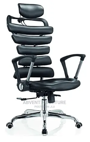 Ergonomic Chair