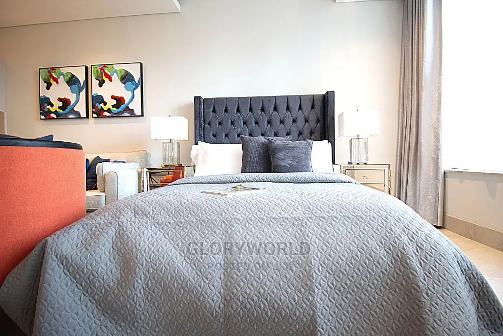 Luxurious Furnished Studio Apartment at Labone