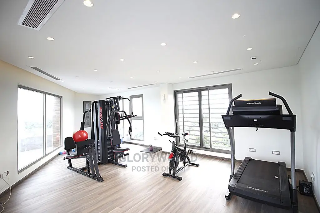Luxurious Furnished Studio Apartment at Labone
