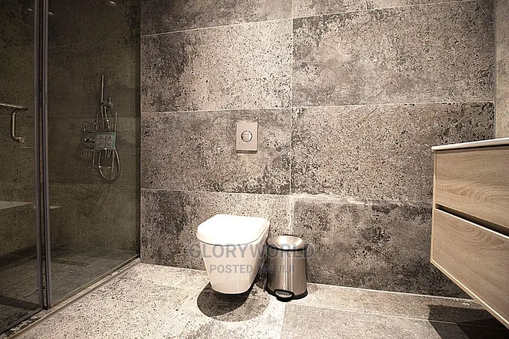 Luxurious Furnished Studio Apartment at Labone