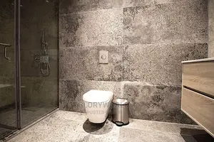 Luxurious Furnished Studio Apartment at Labone