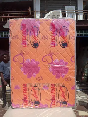 Mattress High Density 18" Large