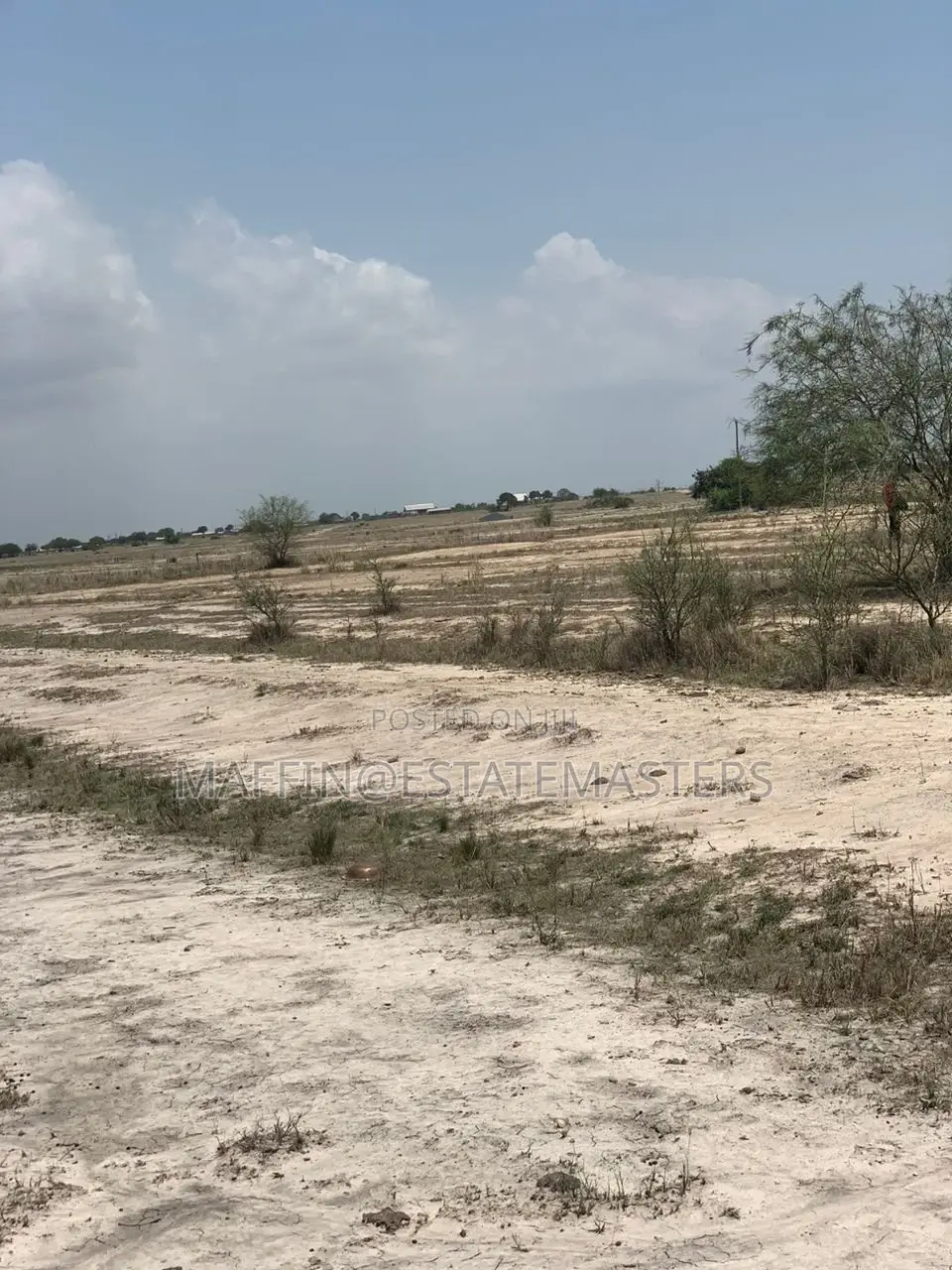 Amazing Demarcated and Plotted Land for Sale at Tsopoli