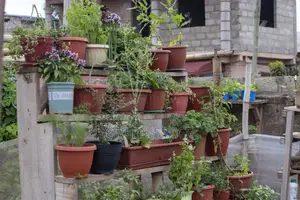 Home Garden Setup