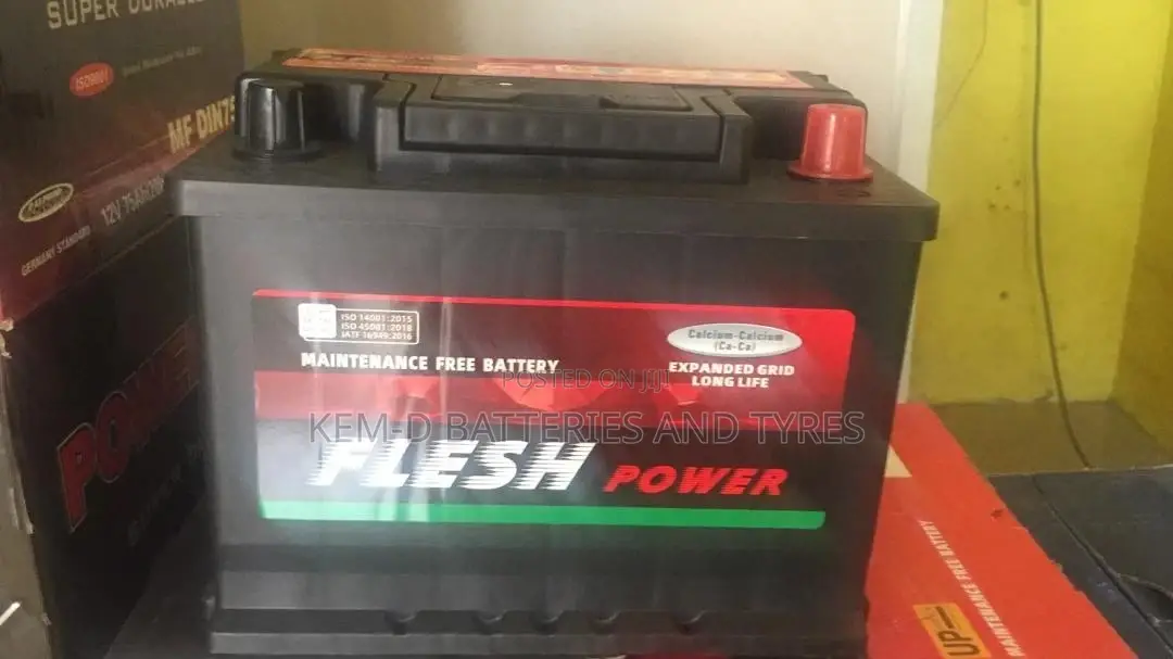 13 Plates Flesh Power Battery
