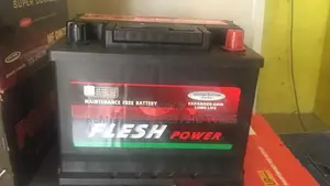 13 Plates Flesh Power Battery
