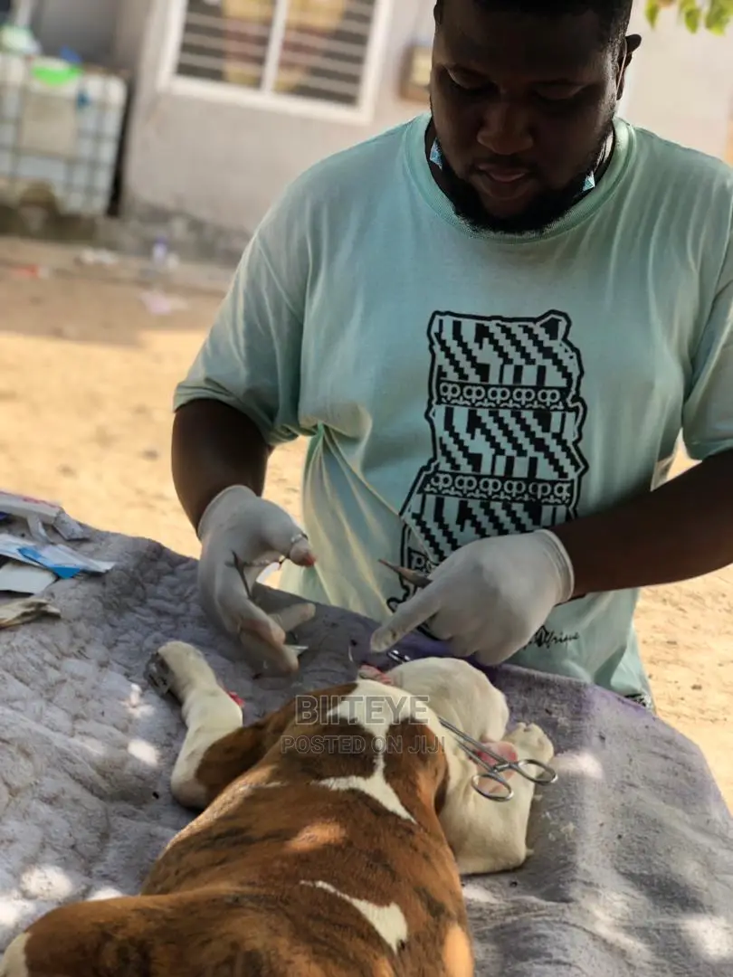 Home Veterinary Services