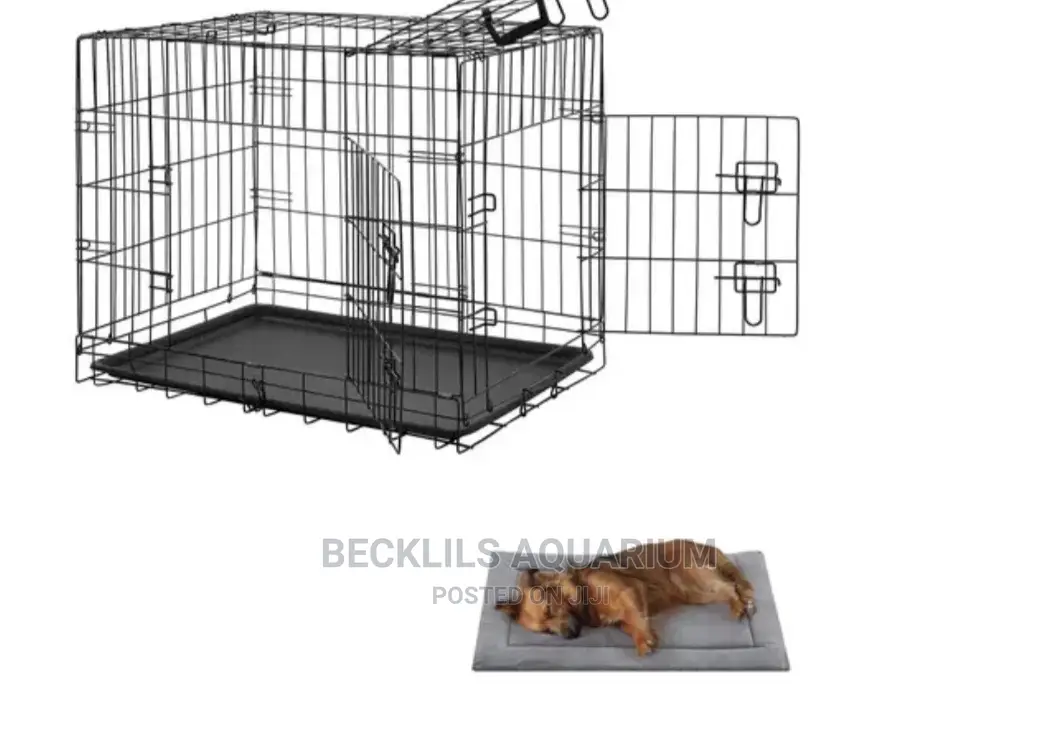 Metallic Indoor Cages