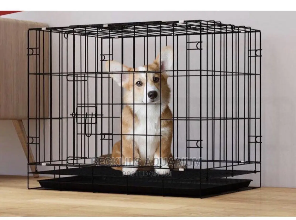 Metallic Indoor Cages