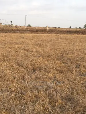 Beautifully Demarcated Lands at Affordable Prices