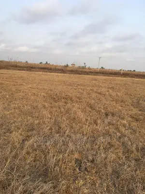 Beautifully Demarcated Lands at Affordable Prices