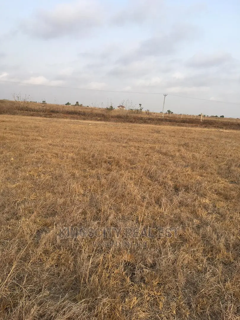 Beautifully Demarcated Lands at Affordable Prices