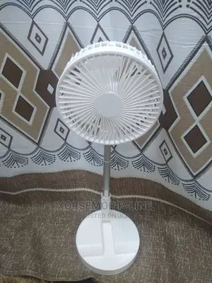 Chargeable Fan