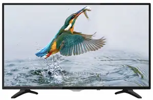 Asano 40" Digital Satellite HD TV