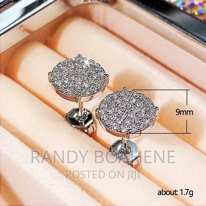 Icy Zirconia Earring