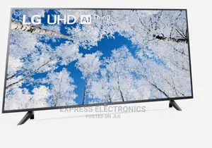 Powerful Dynamic and Clear Image UHD 55UQ7000 Tv