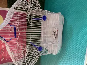 Parakeets Cage Series 1