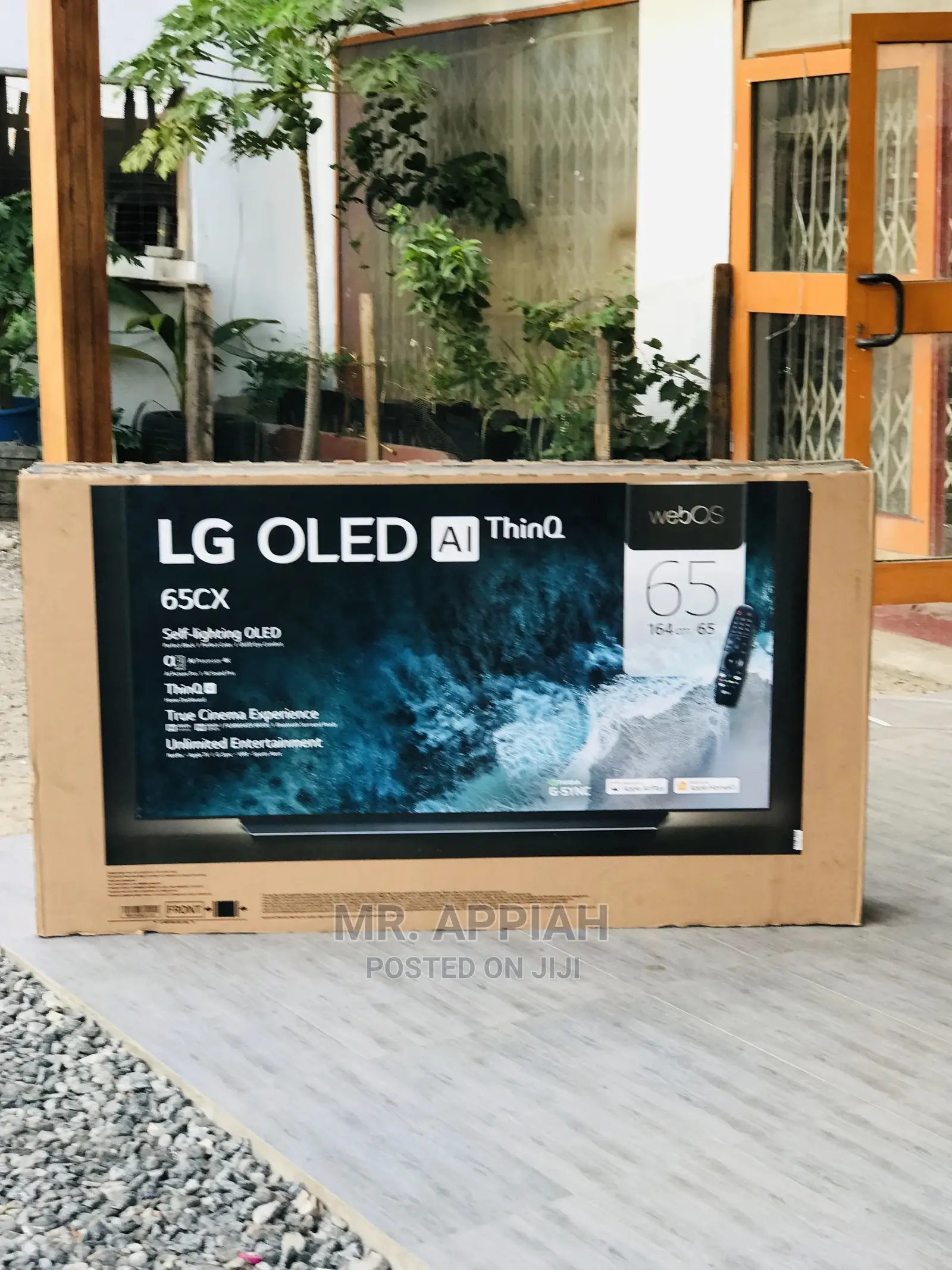 Oled65a1pva