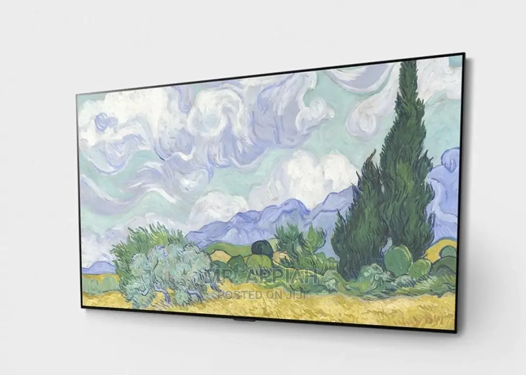 Oled65g1pva
