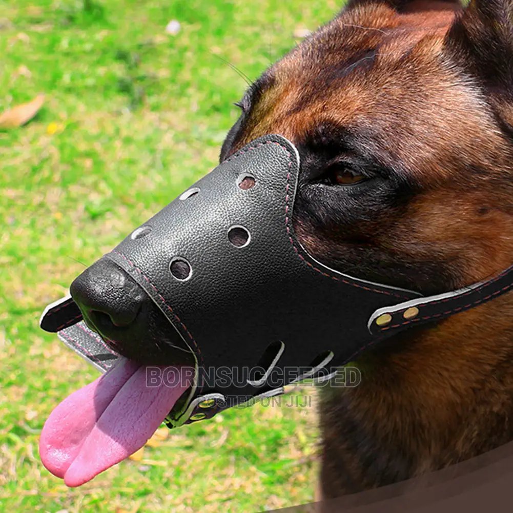 Anti Bark,Bite and Chew Dog Leather Muzzle