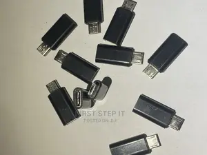 Type- C To Micro USB Converter