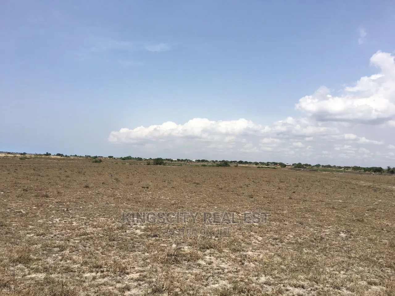 Great Estate Land Deal for Your Future