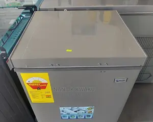 Energy Saver_pearl 100ltrs Chest Freezer Silver