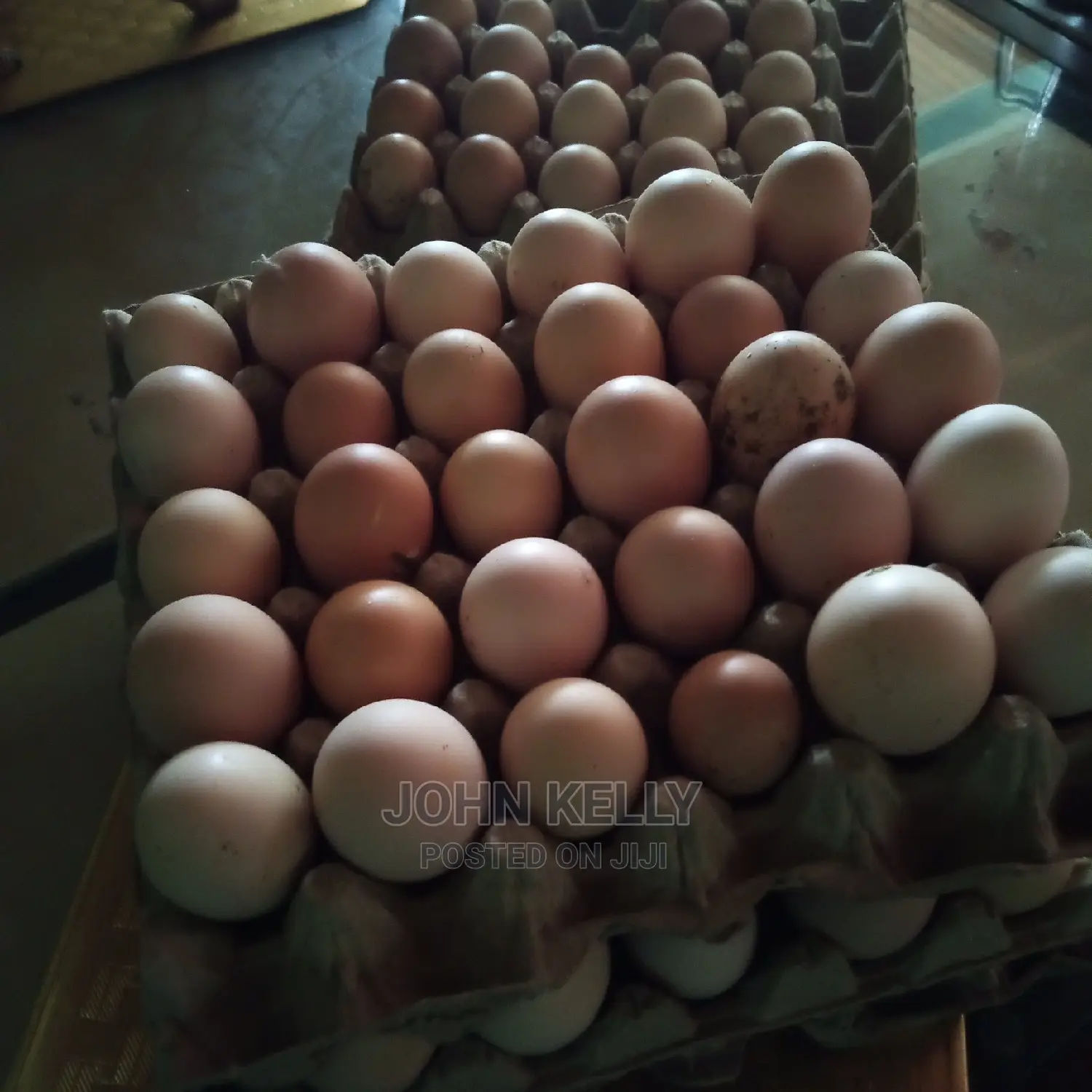 Different Type of Chickens