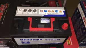 15 Plates Pofirst Batteries
